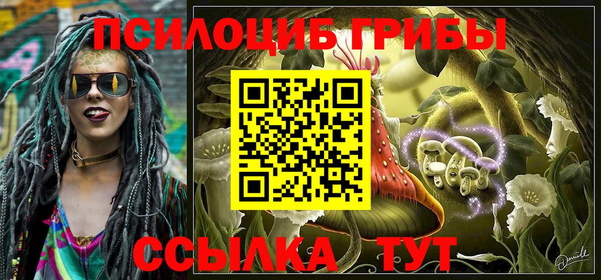 Псилоцибиновые грибы мухоморы  Вход с VPN  Галлюциногенные грибы мухоморы  Гусиноозёрск 